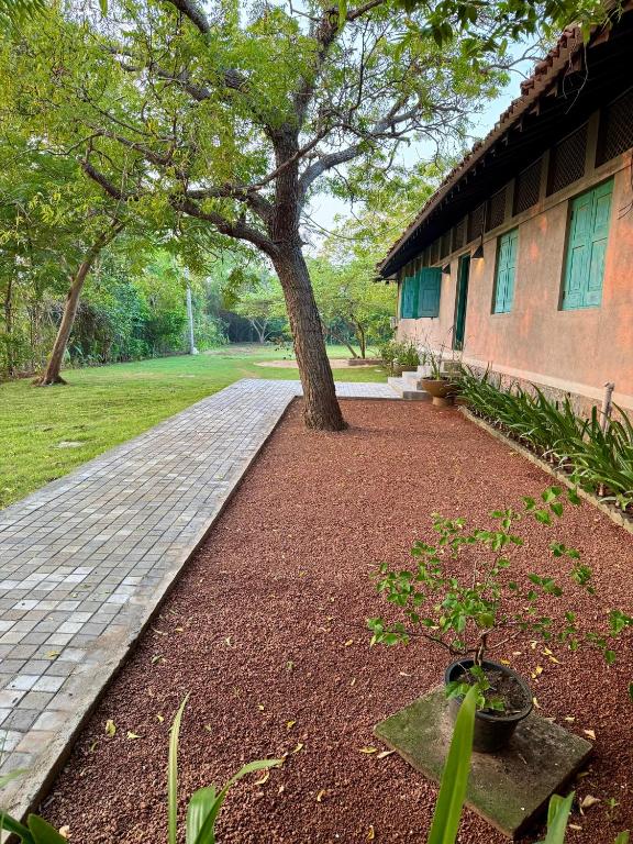 Zahrada ubytování Yala Villa