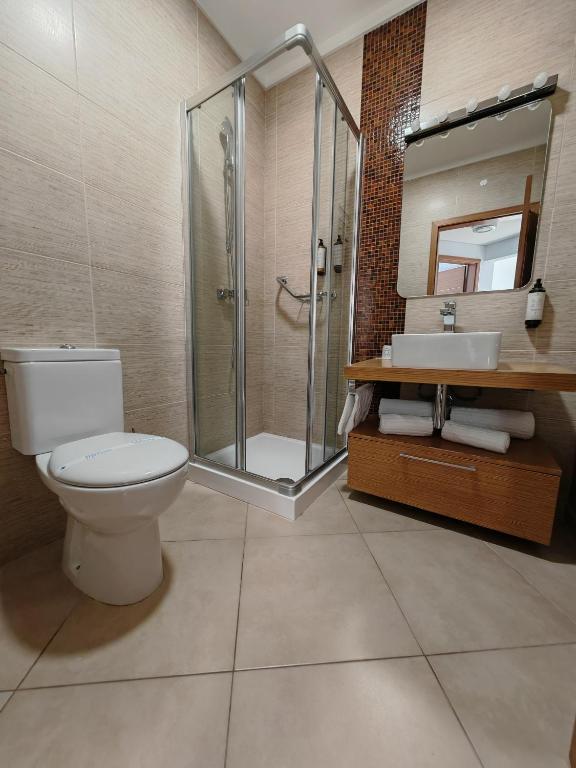 a bathroom with a toilet and a shower and a sink at Sagres Time Apartamentos in Sagres