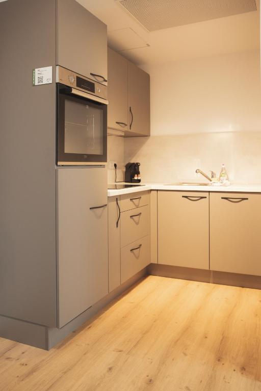 Kuchyň nebo kuchyňský kout v ubytování Black Forest Suites