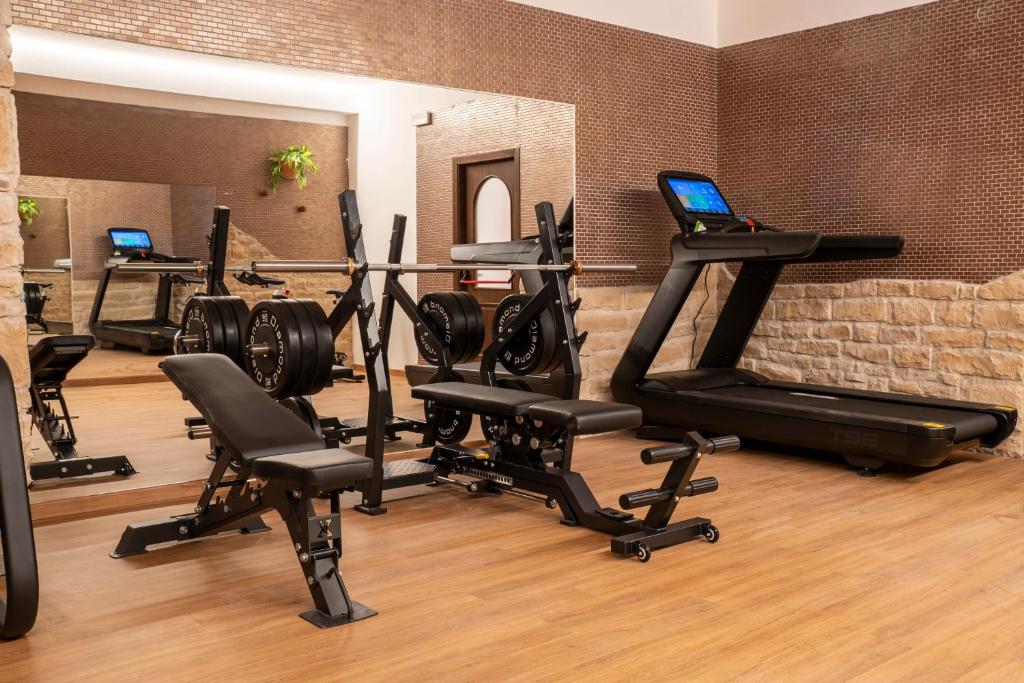 Fitness centrum a/nebo fitness zařízení v ubytování Hotel Rasinus