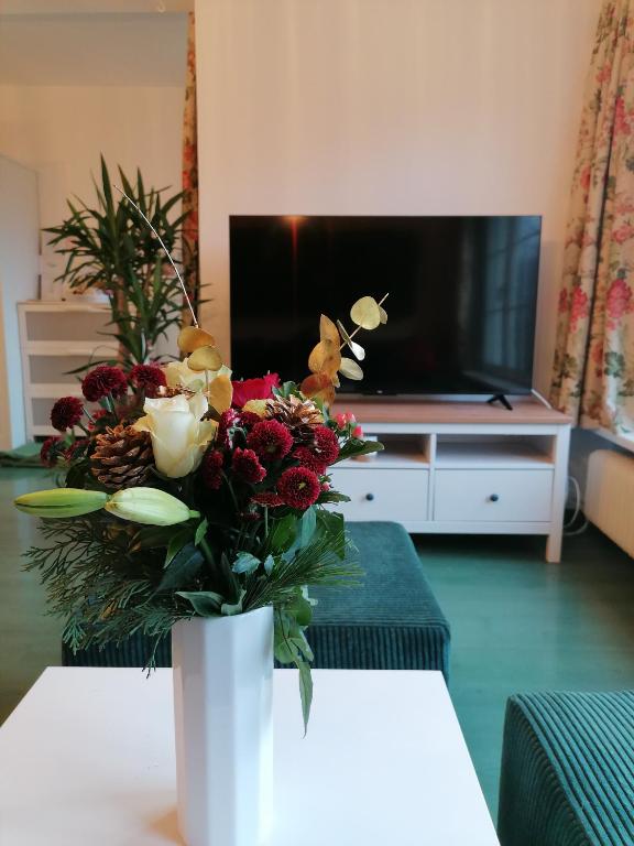 TV a/nebo společenská místnost v ubytování Alpenblumal