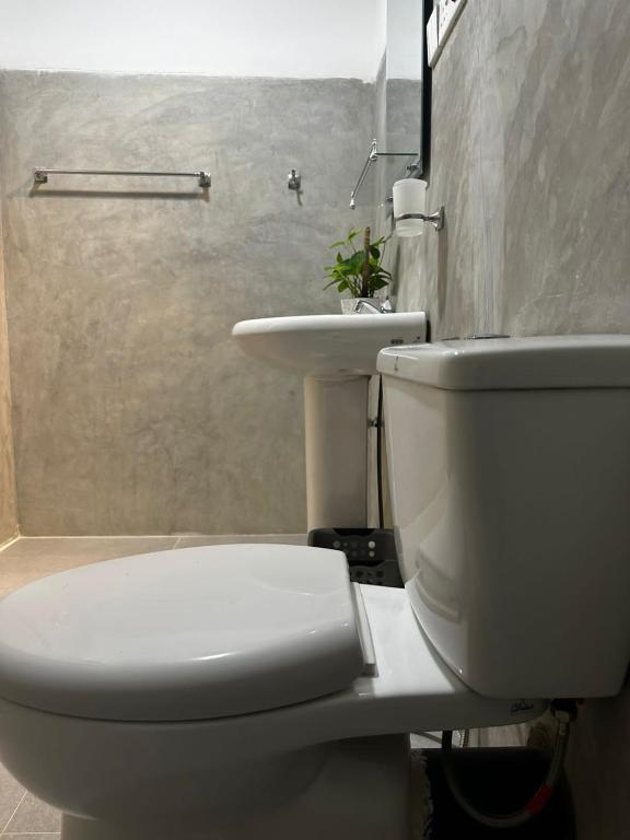 A bathroom at TaMaRiNd house