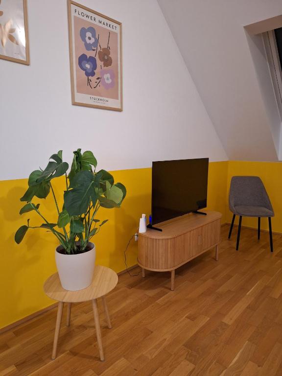 TV a/nebo společenská místnost v ubytování Wohlfühlen in Linz