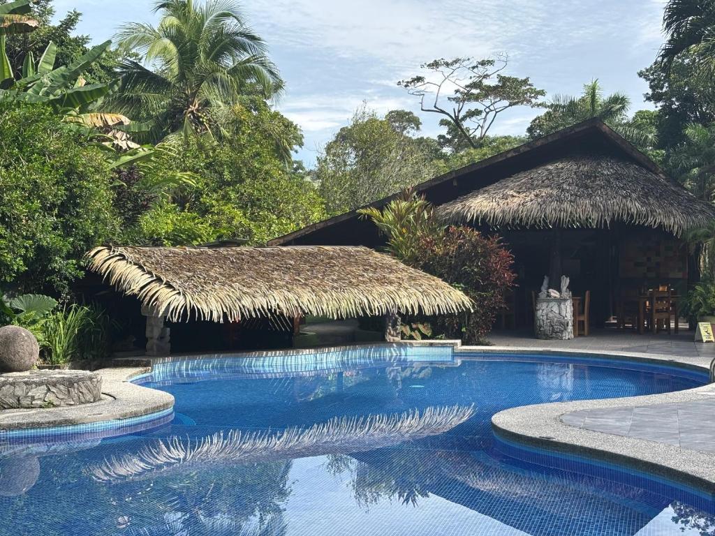 Bazén v ubytování Hotel Suizo Loco Lodge & Resort nebo v jeho okolí