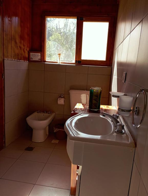 un bagno con lavandino e WC di Cabañas monoambiente La Generosa LP a Lago Puelo