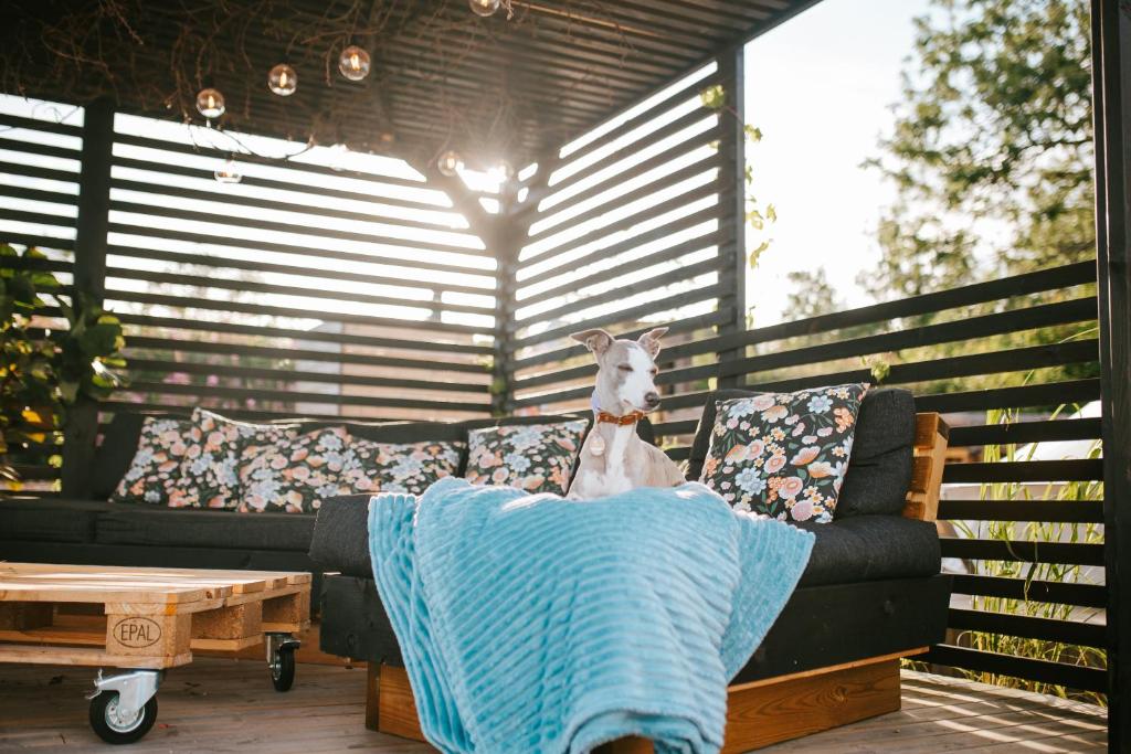 Posezení v ubytování Vättervy Glamping