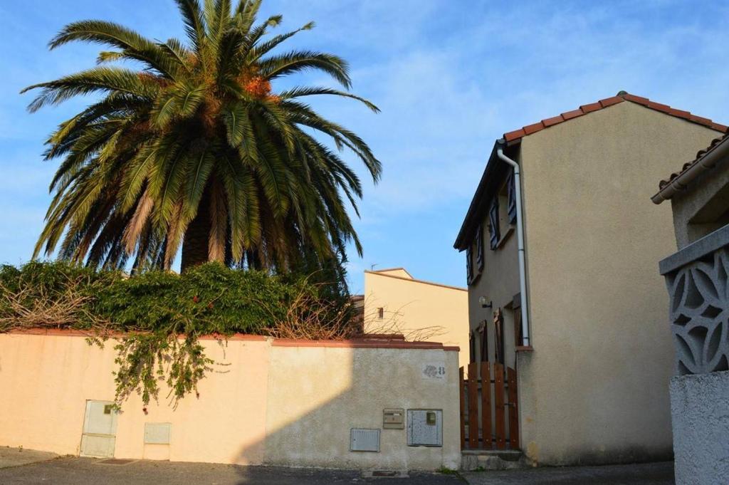 un palmier devant un bâtiment avec une clôture dans l'établissement Maison 4 pièces mezzanine 6 couchages ST CYPRIEN PLAGE SC000-008, à Saint Cyprien Plage