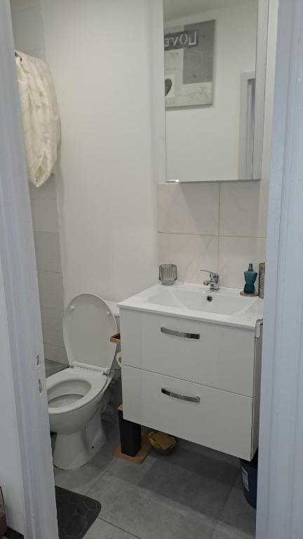 une salle de bain avec des toilettes blanches et un lavabo dans l'établissement Studio Arago, à Roanne