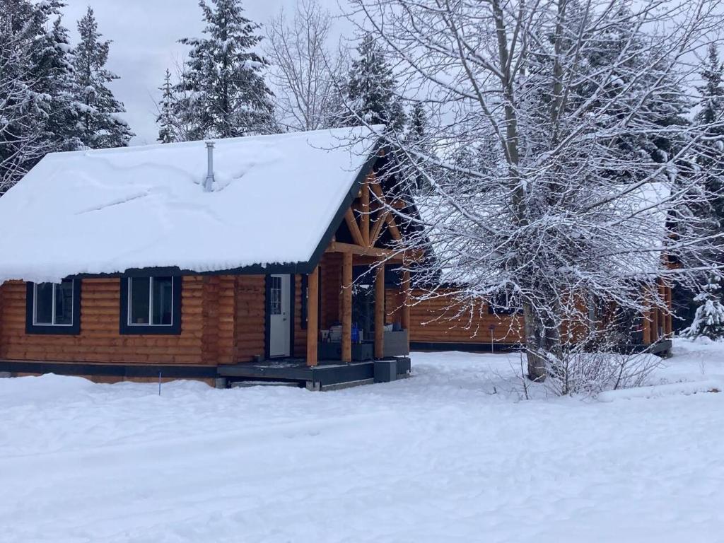 Log lofted rustic cabin in woods v zimě