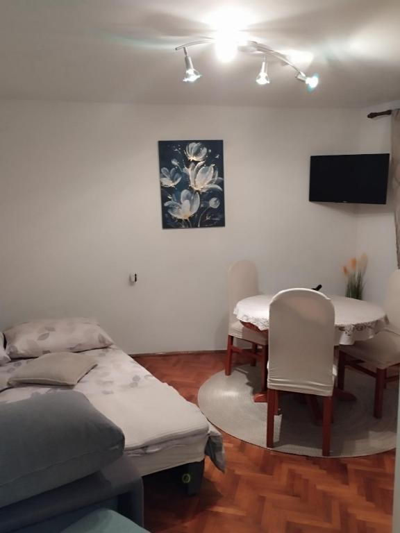 TV a/nebo společenská místnost v ubytování Studio apartman Lilijana