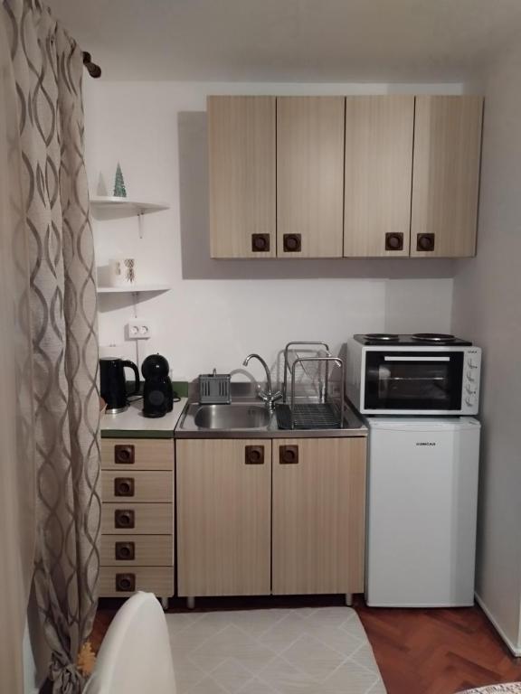 Kuchyň nebo kuchyňský kout v ubytování Studio apartman Lilijana