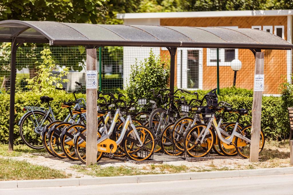 Ljubljana Resort Hotel & Camping - Resim 10