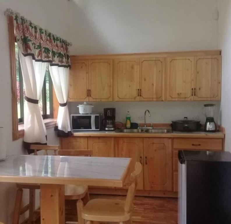 Kuchyň nebo kuchyňský kout v ubytování Cabañas La Laguna
