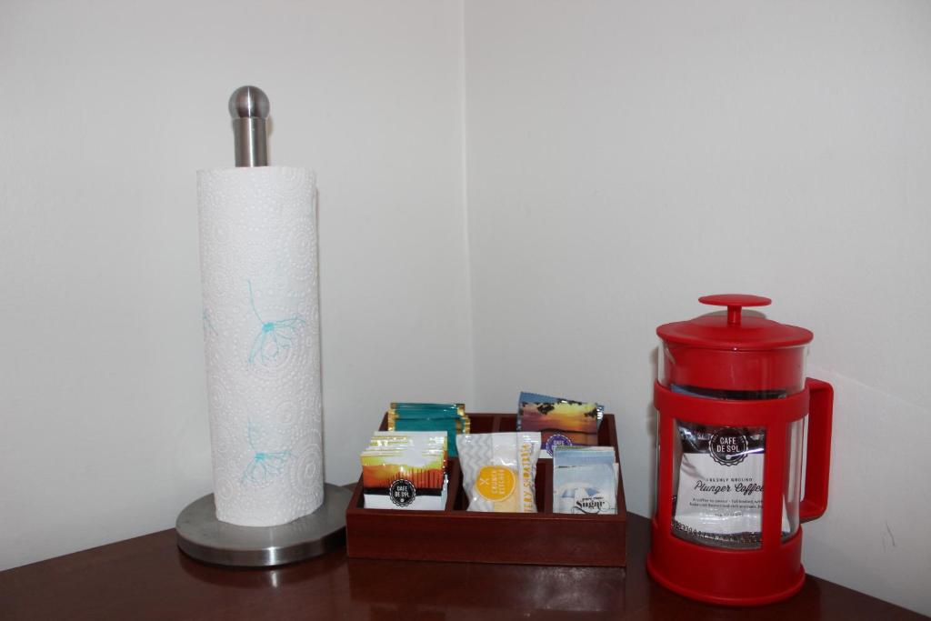 Earnslaw Motel - Resim 19