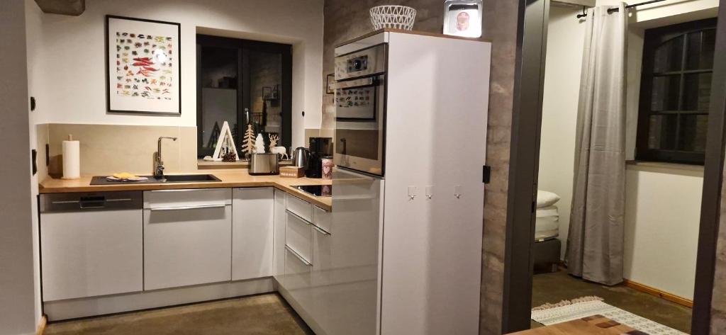 Kuchyň nebo kuchyňský kout v ubytování Ferienappartements im Speicherwerk