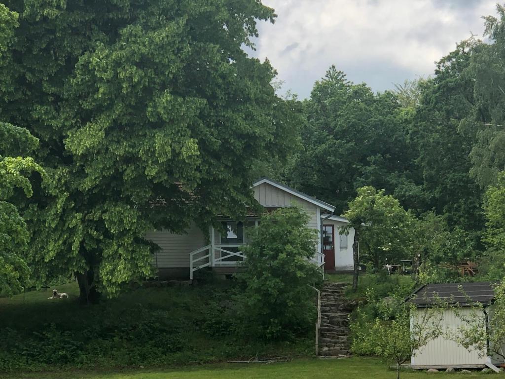 Zahrada ubytování Solröje