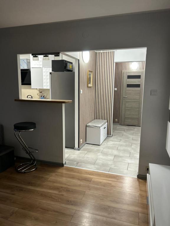 Kuchnia lub aneks kuchenny w obiekcie Apartament Wieluńska