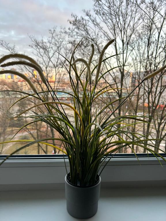 Zdjęcie z galerii obiektu Apartament Wieluńska w Warszawie