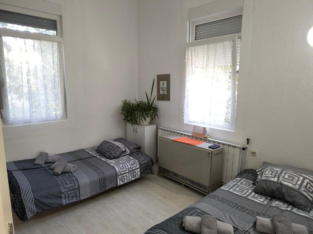 two beds in a room with two windows at Apartman - kuca za odmor Slatina in Vrnjačka Banja