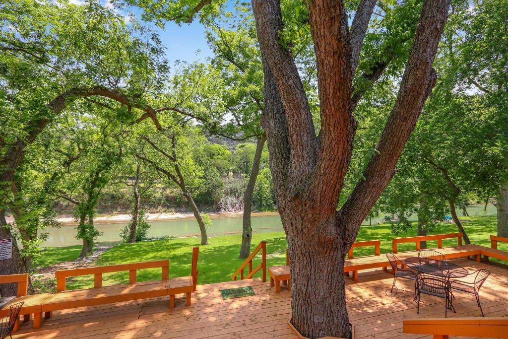 a group of benches sitting next to a tree at River Haven in Fourth Crossing