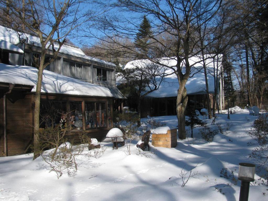 La Forest De Nome Karuizawa v zimě