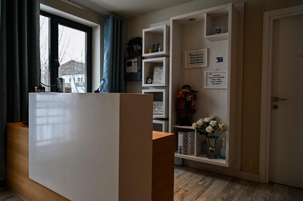 Kuchyň nebo kuchyňský kout v ubytování Camere de Inchiriat IGLOO