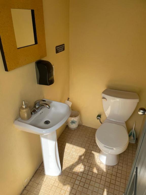 Koupelna v ubytování Bella Noni B&B
