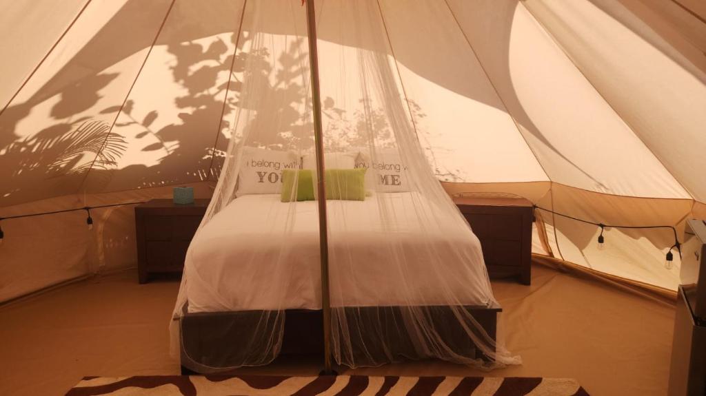 Postel nebo postele na pokoji v ubytování Bella Noni B&B