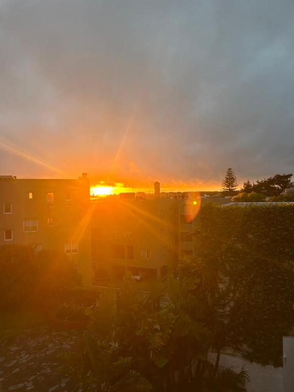 Corazón de la barra