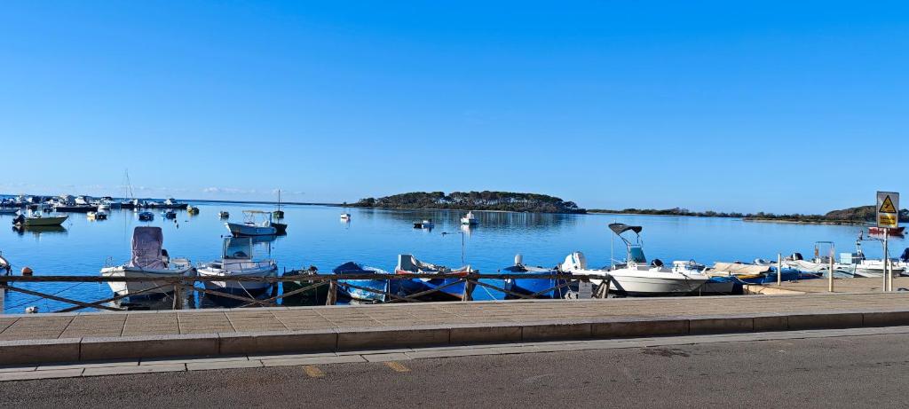 Príroda v okolí apartmánu
