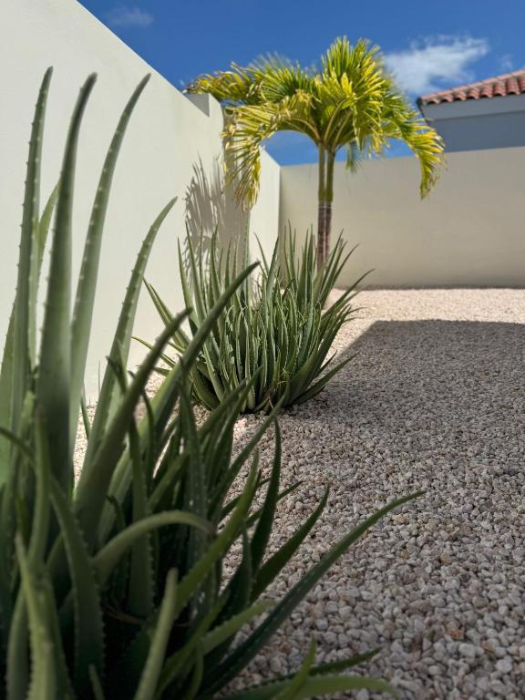 Fotografie z fotogalerie ubytování Villa Vista Montaña v destinaci Willemstad
