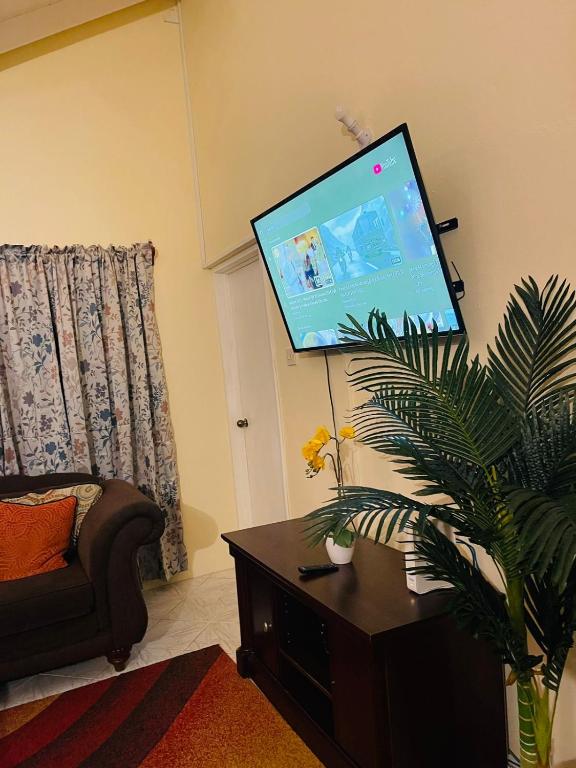 TV a/nebo společenská místnost v ubytování Castle Berry Apartments