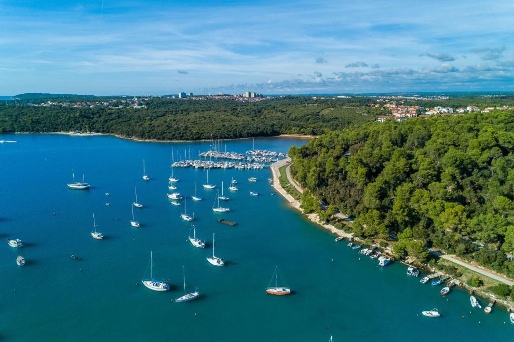 Příroda nedaleko apartmánu