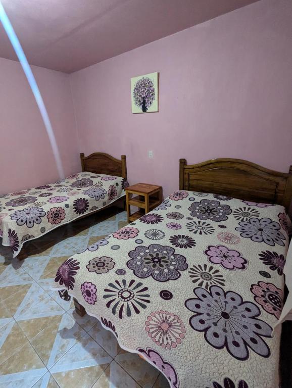 Postel nebo postele na pokoji v ubytování Hospedaje El Peregrino