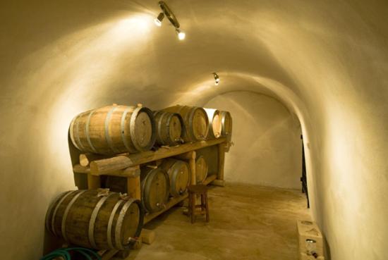 Pelican Hotel - Resim 24