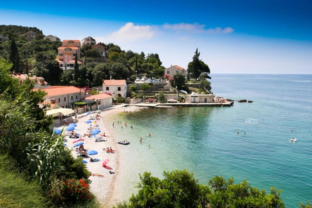 a group of people on a beach in the water at Studios Tonina in Zaton