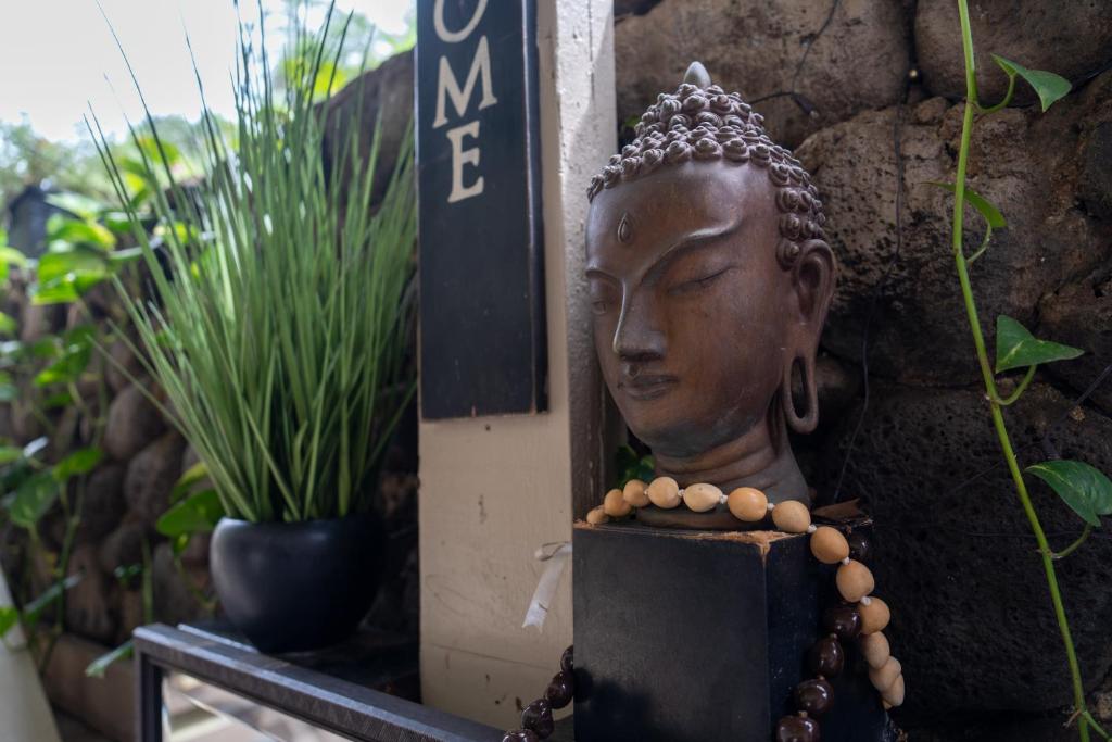 Fotografie z fotogalerie ubytování Unit 18 Maui Ohana Modern Studio v destinaci Wailuku