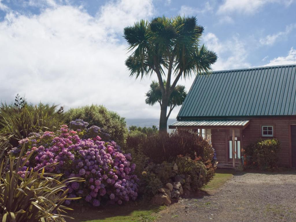 a palm tree and a house with flowers and a palm tree at Hilltop guest room, Escape the city! in Pukehiki