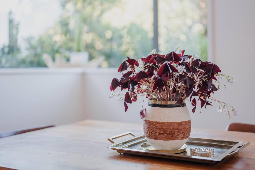 The Ultimate Cecil Wood Stay - Hot Tub BBQ & Views - Resim 41