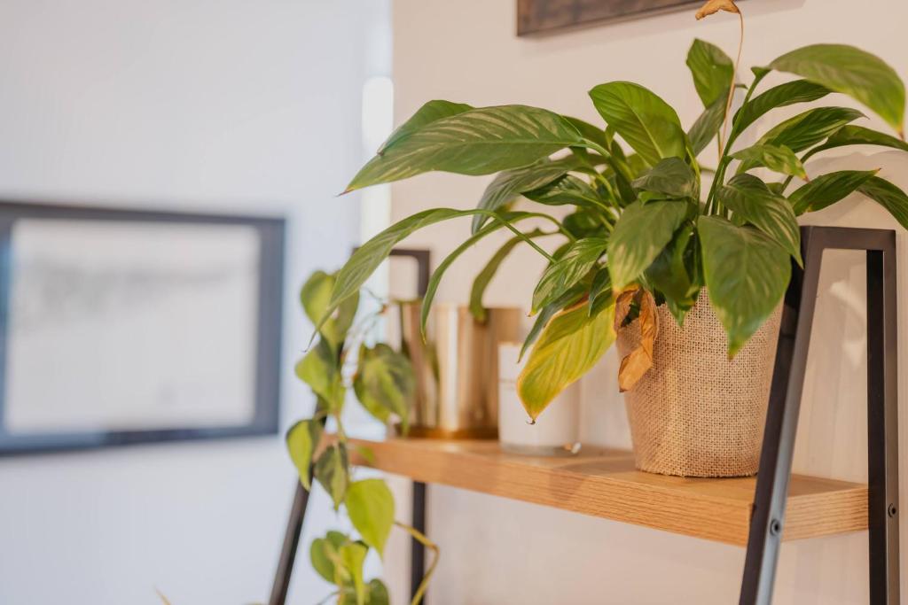 The Ultimate Cecil Wood Stay - Hot Tub BBQ & Views - Resim 43