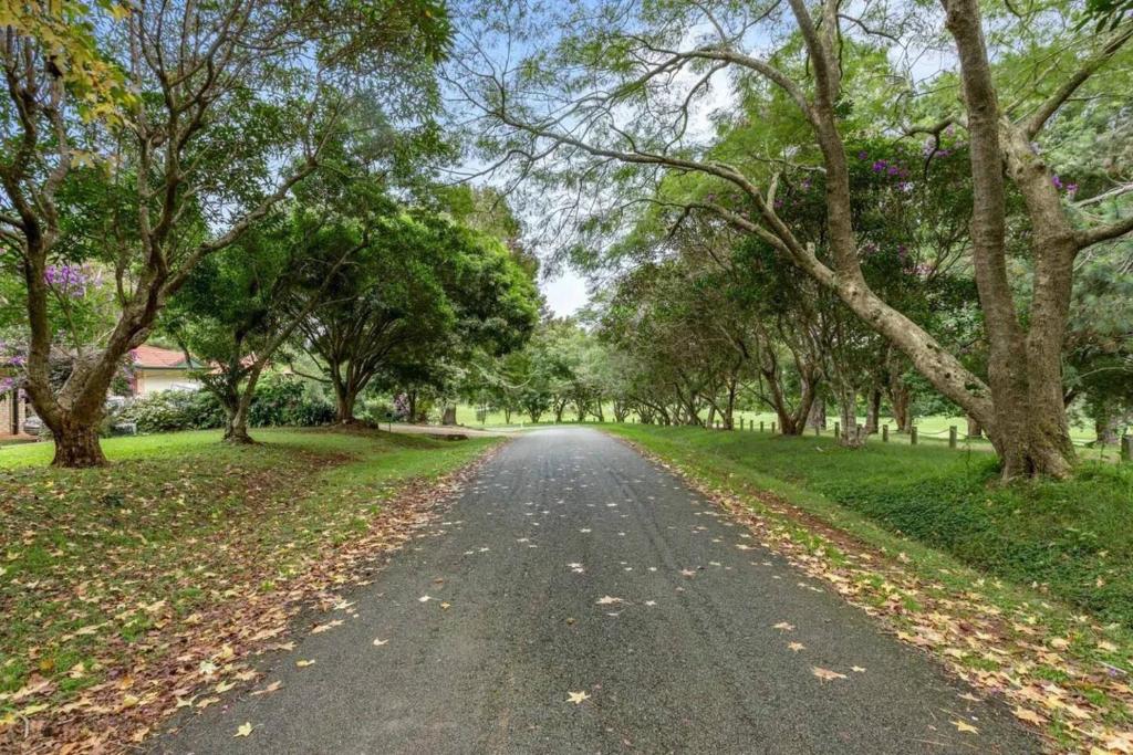 an empty road with trees on either side at Cosy Golf Course Retreat in Tamborine Mountain with Wifi & Aircon in Mount Tamborine