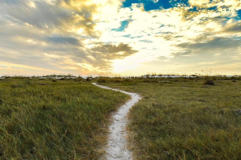 Naturlandskabet i nærheden af feriehuset