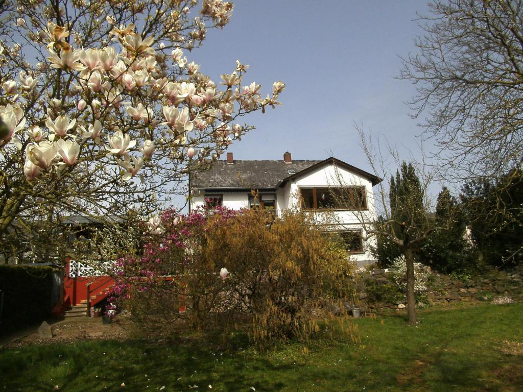 ein Haus mit einem blühenden Baum davor in der Unterkunft Fewo Gästezimmer in Ellenz-Poltersdorf