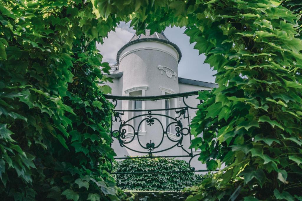 Zahrada ubytování Villa17