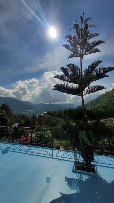 Smile Sky Hill Resort - Resim 23