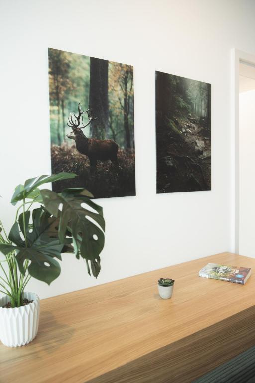 Fotografie z fotogalerie ubytování Black Forest Suites v destinaci Achern