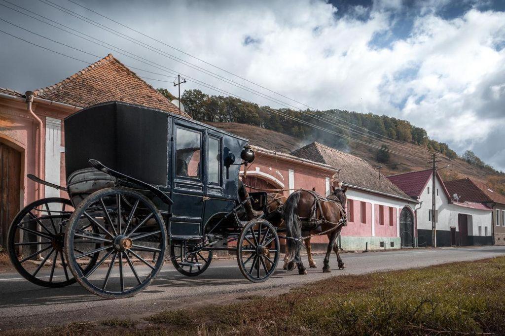 Nespecifikovaný výhled na hory nebo výhled na hory při pohledu z hotelu