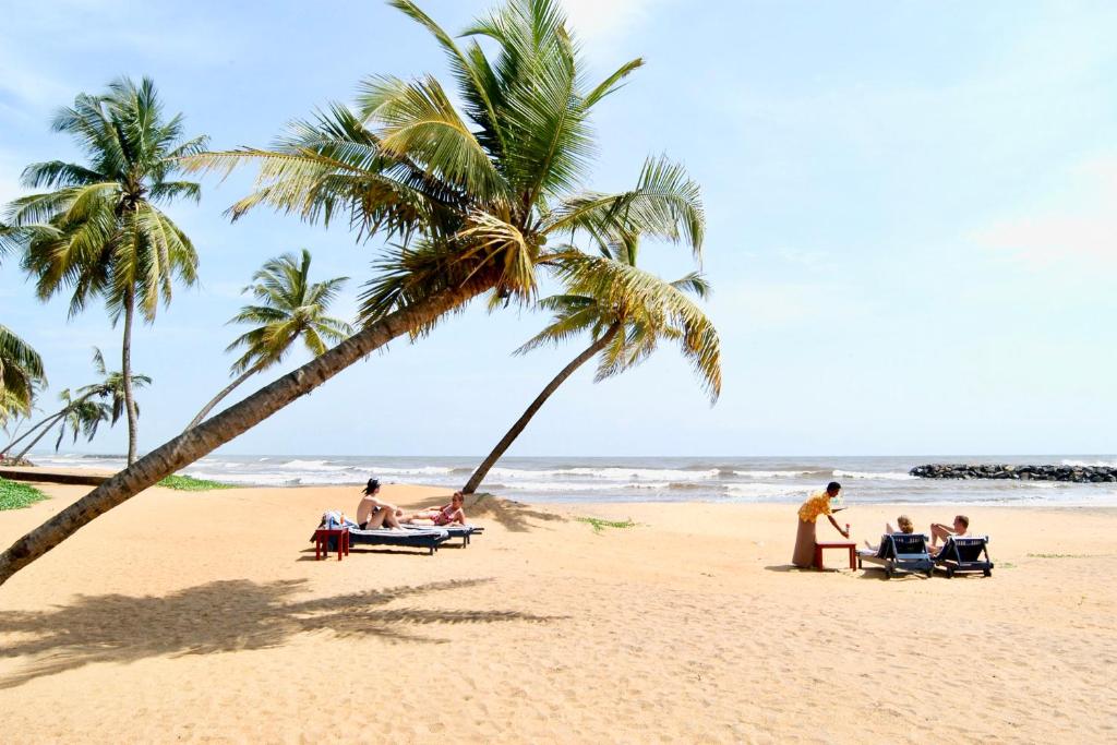a group of people sitting on a beach with palm trees at Fanisha Family Villa and Restaurant in Negombo