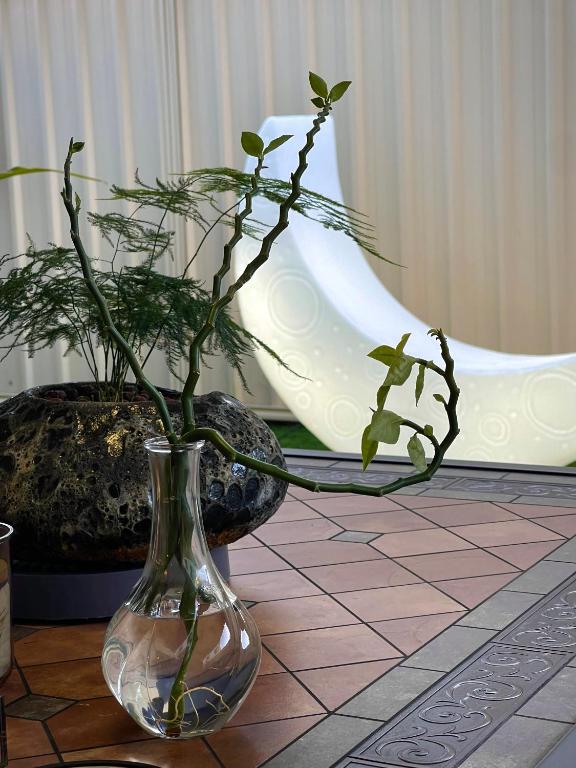 Fotografie z fotogalerie ubytování Equitice Spring Moonlight Villa v destinaci Perth