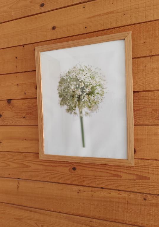 Fotografie z fotogalerie ubytování Hôtel l'Acadien v destinaci Le Palais